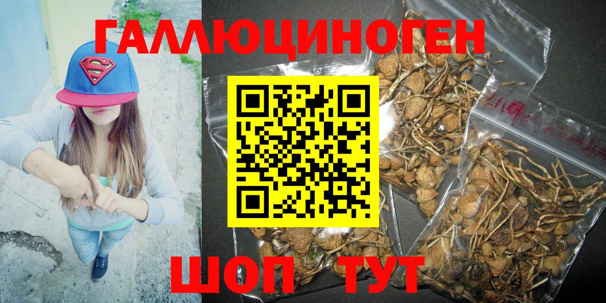 Псилоцибиновые грибы GOLDEN TEACHER  Вход с VPN  хочу наркоту  Чернушка 