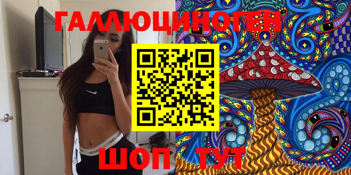 Псилоцибиновые грибы мицелий Чернушка
